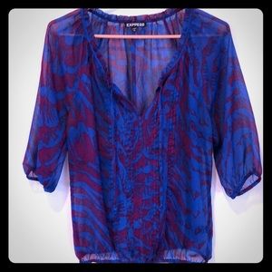Express sheer blouse